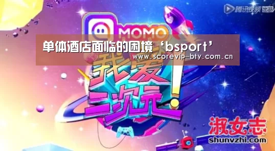 单体酒店面临的困境‘bsport’(图1) bsport体育