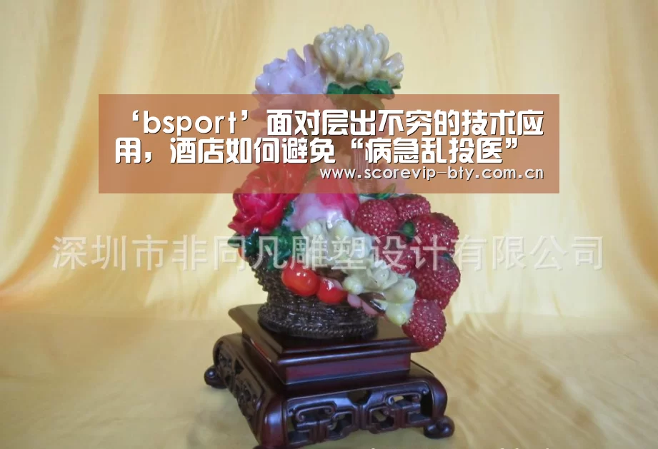 ‘bsport’面对层出不穷的技术应用,酒店如何避免“病急乱投医”?(图3) ‘bsport’面对层出不穷的技术应用,酒店如何避免“病急乱投医”?(图3)