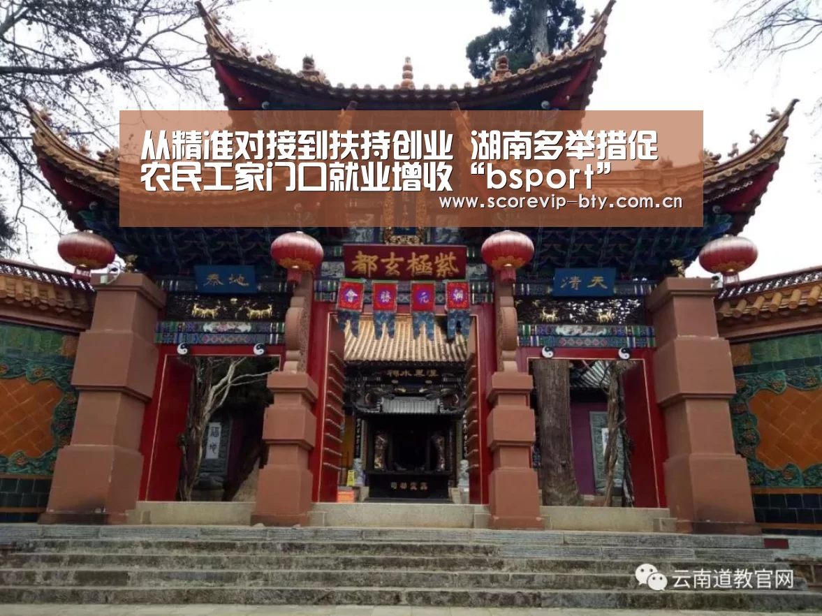 从精准对接到扶持创业 湖南多举措促农民工家门口就业增收“bsport”(图2) 从精准对接到扶持创业 湖南多举措促农民工家门口就业增收“bsport”(图2)