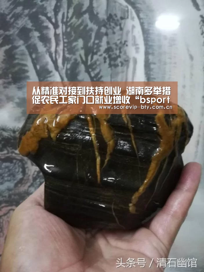 从精准对接到扶持创业 湖南多举措促农民工家门口就业增收“bsport”(图1) 从精准对接到扶持创业 湖南多举措促农民工家门口就业增收“bsport”(图1)