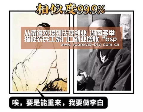从精准对接到扶持创业 湖南多举措促农民工家门口就业增收“bsport”(图3) bsport体育