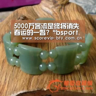 5000万客流是终将消失春运的一瞥?“bsport体育”(图1)
