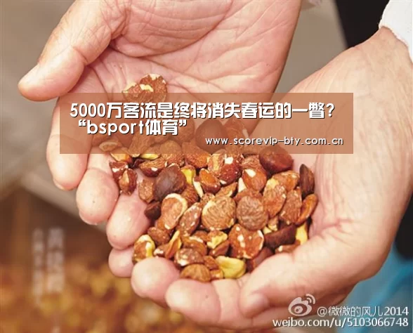 5000万客流是终将消失春运的一瞥?“bsport体育”(图3)