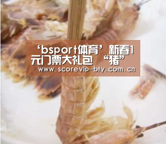 bsport体育