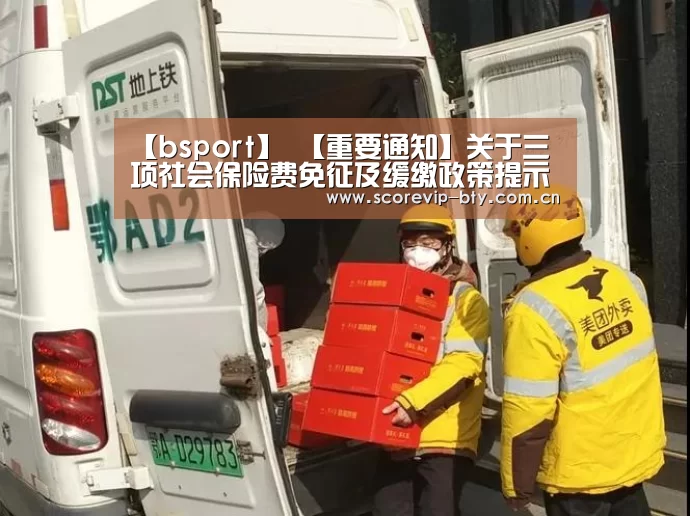 【bsport】
【重要通知】关于三项社会保险费免征及缓缴政策提示(图3) bsport体育